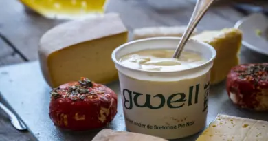 Connaissez-vous le Gwell ? Le gros lait breton en route vers l’AOP