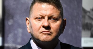 Qui est Valery Zaloujny, l’ambassadeur ukrainien bien placé pour succéder à Zelensky ?