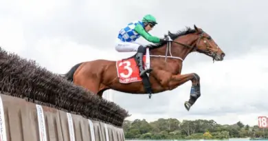 Quinté à Clairefontaine du lundi 11 août : les pronostics hippiques d'Hervé Fortin - ici