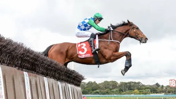Quinté à Clairefontaine du lundi 11 août : les pronostics hippiques d'Hervé Fortin - ici