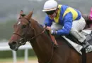 Quinté à Clairefontaine du vendredi 15 aout : les pronostics hippiques d'Hervé Fortin - ici