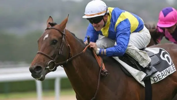 Quinté à Clairefontaine du vendredi 15 aout : les pronostics hippiques d'Hervé Fortin - ici
