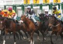 Quinté à Deauville du jeudi 28 août : les pronostics hippiques d'Hervé Fortin - ici