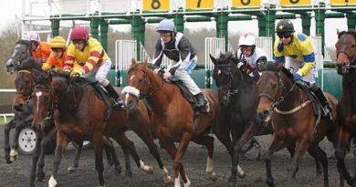 Quinté à Deauville du jeudi 28 août : les pronostics hippiques d'Hervé Fortin - ici