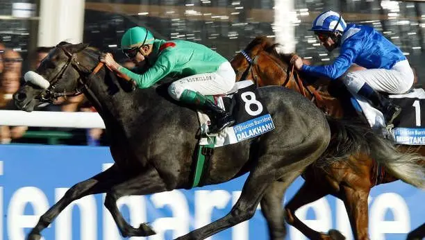Quinté à Deauville du mardi 26 août : les pronostics hippiques d'Hervé Fortin - ici