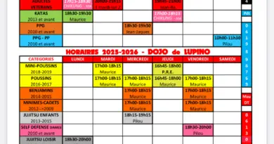 RÉINSCRIPTIONS au DOJO de LUPINO :
