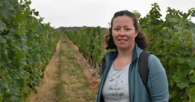 REPORTAGE. Les vignerons d’Anjou Saumur mobilisés contre « la maladie qui grille les