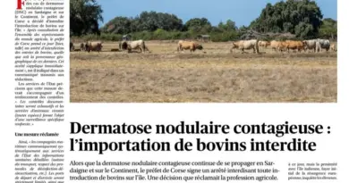 [REVUE DE PRESSE] @corsematin