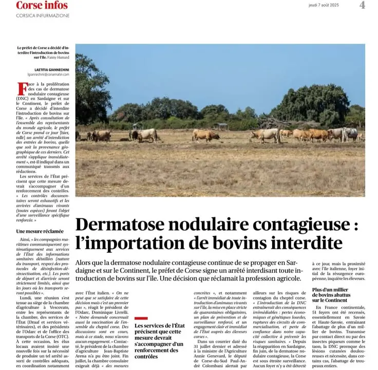 [REVUE DE PRESSE] @corsematin