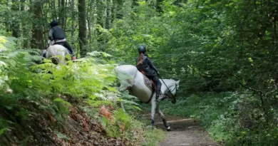 Randonnée : et si vous faisiez cet été le tour de l’Ile-de-France… à cheval ?