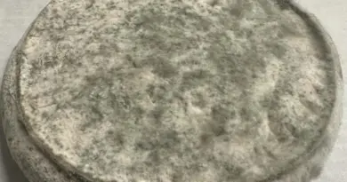 Rappel Consommateur - Détail FROMAGE FERMIER SANS MARQUE