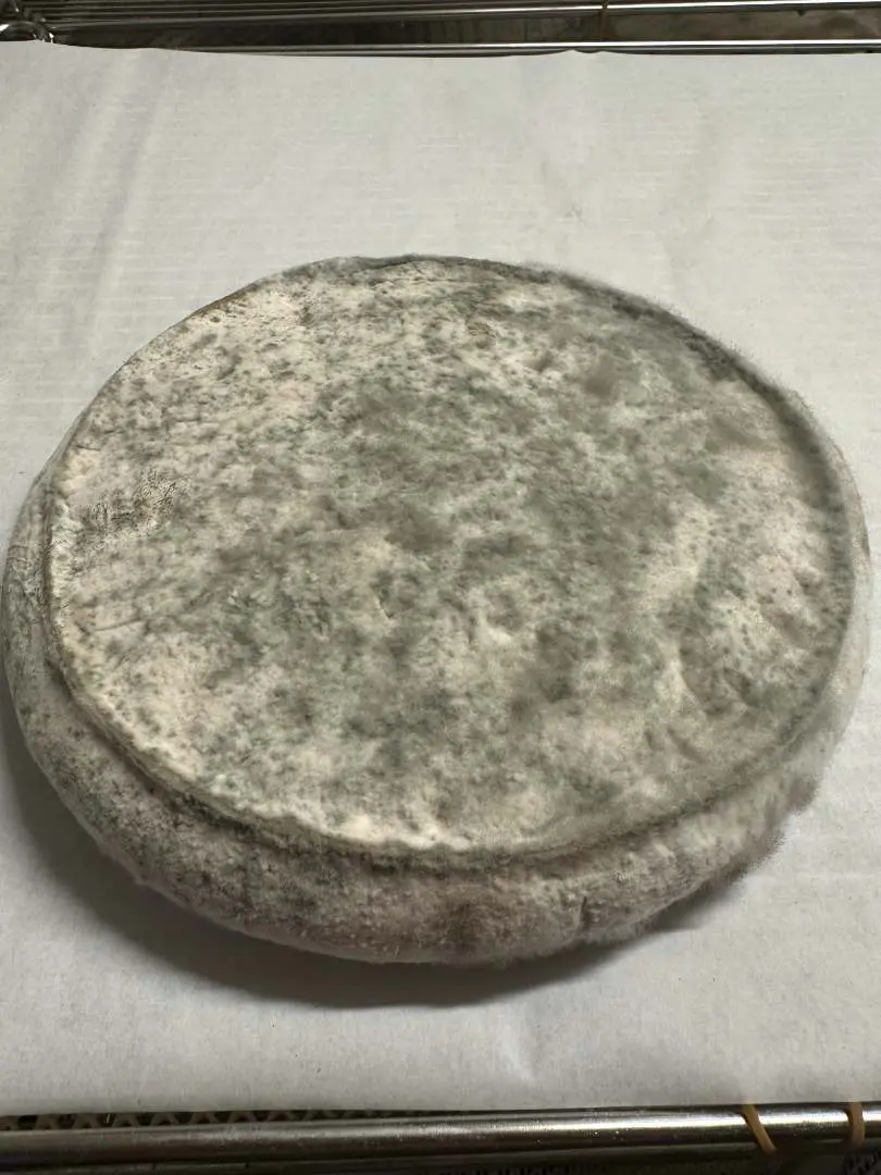 Rappel Consommateur - Détail FROMAGE FERMIER SANS MARQUE