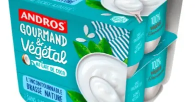 Rappel Consommateur - Détail L'incontournable brassé nature au lait de coco ANDROS GOURMAND & VEGETAL