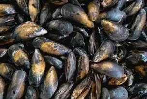Rappel Consommateur - Détail MOULES DE BOUCHOT Sans marque