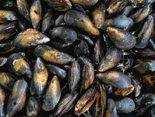 Rappel Consommateur - Détail MOULES DE BOUCHOT Sans marque