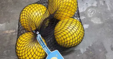 Rappel Consommateur - Détail Pomelos Blanc Filet Sans marque