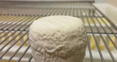Rappel Consommateur - Détail fromages de chevres au lait cru crottins de chavignol au lait cru