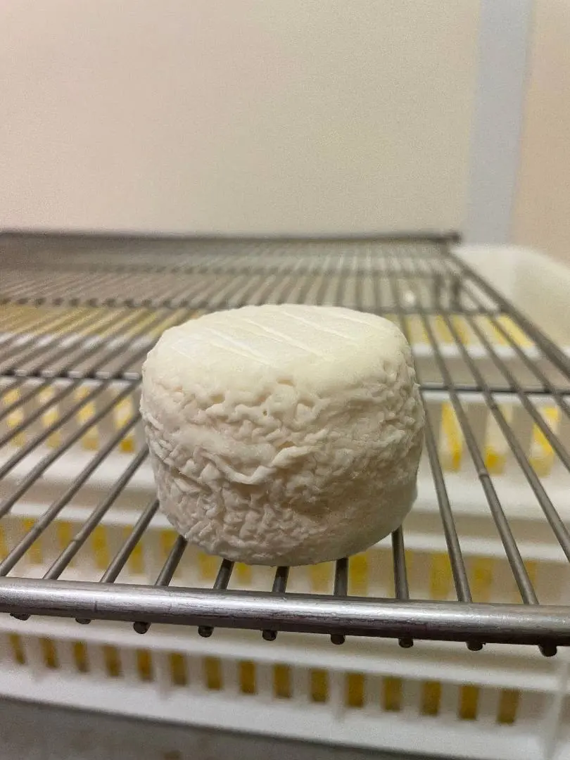 Rappel Consommateur - Détail fromages de chevres au lait cru crottins de chavignol au lait cru