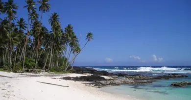 Guadeloupe, Basse-Terre, Pointe-à-Pitre, volcano, beach, palm, waterfall, Creole, island