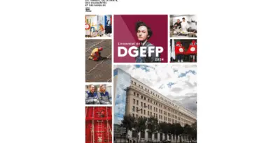 Rapport d'activité de la DGEFP 2024 : promouvoir l'emploi et la formation en France | Travail-emploi.gouv.fr | Ministère du Travail, de la Santé, des Solidarités et des Familles