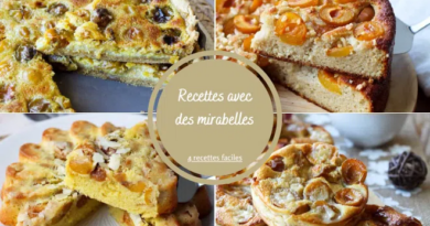 Recette mirabelle,Dessert mirabelle facile,dessert mirabelle facile rapide,gâteau mirabelle facile rapide,dessert facile mirabelle,tarte mirabelle facile,gateau mirabelle facile,Cuisine avec mirabelles,recettes avec mirabelles,recettes aux mirabelles,cuisiner avec des mirabelles,clafoutis mirabelle amande facile,Recette rapide mirabelle
