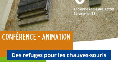 Rendez-vous C’Est Nature du mercredi 03 septembre – des refuges pour les chauves-souris