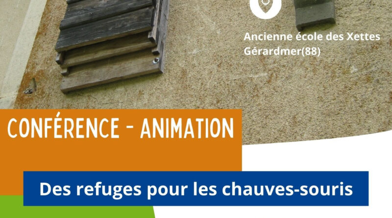 Rendez-vous C’Est Nature du mercredi 03 septembre – des refuges pour les chauves-souris