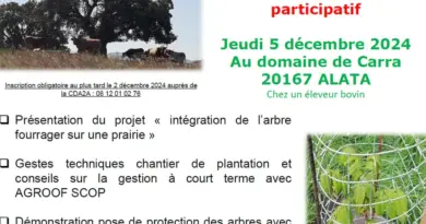 Rendez-vous le jeudi 5 décembre au domaine Carra à Alata pour une journée de sensibilisation au pacte en faveur de la haie à tra...