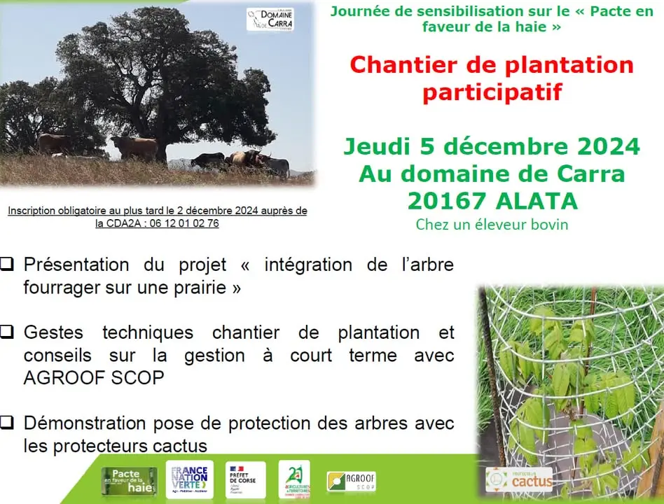 Rendez-vous le jeudi 5 décembre au domaine Carra à Alata pour une journée de sensibilisation au pacte en faveur de la haie à tra...
