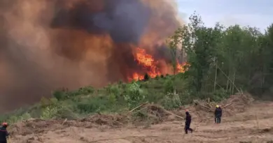 Reprise de feu en Creuse : 30 hectares brûlés