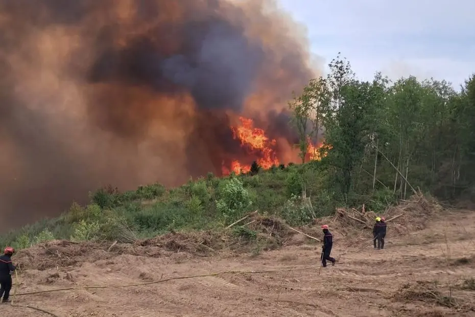 Reprise de feu en Creuse : 30 hectares brûlés