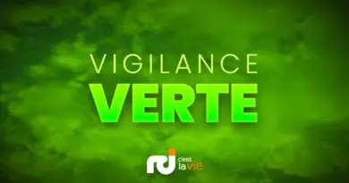 Retour au vert en Martinique après le passage de l’ouragan Erin
