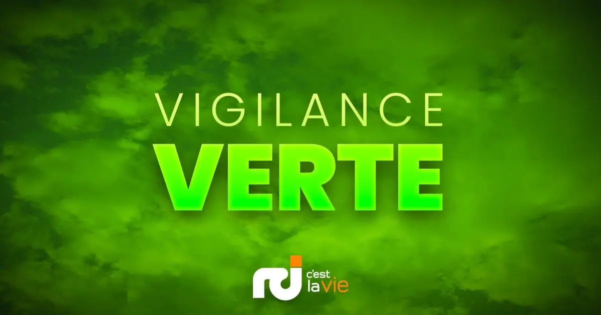 Retour au vert en Martinique après le passage de l’ouragan Erin