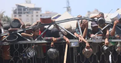 Réunion du Conseil de sécurité : l’ONU juge « terrifiant » le plan israélien de prise de contrôle de Gaza