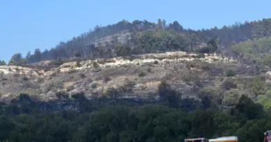 Risque très élevé d'incendie : l'Aude interdit l'accès à une grande partie des espaces forestiers