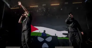 Rock en Seine : des manifestants perturbent le concert du groupe Kneecap, pas de débordements majeurs