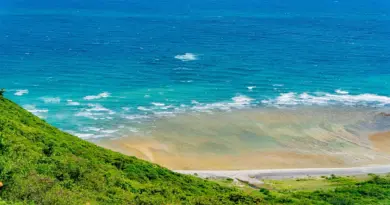 Mayotte, Mamoudzou, lagoon, beach, coral, mangrove, ylang-ylang, island, Creole, nature