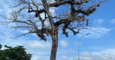 Route de Montabo : le sens Suzini-Cayenne fermé, mardi et mercredi