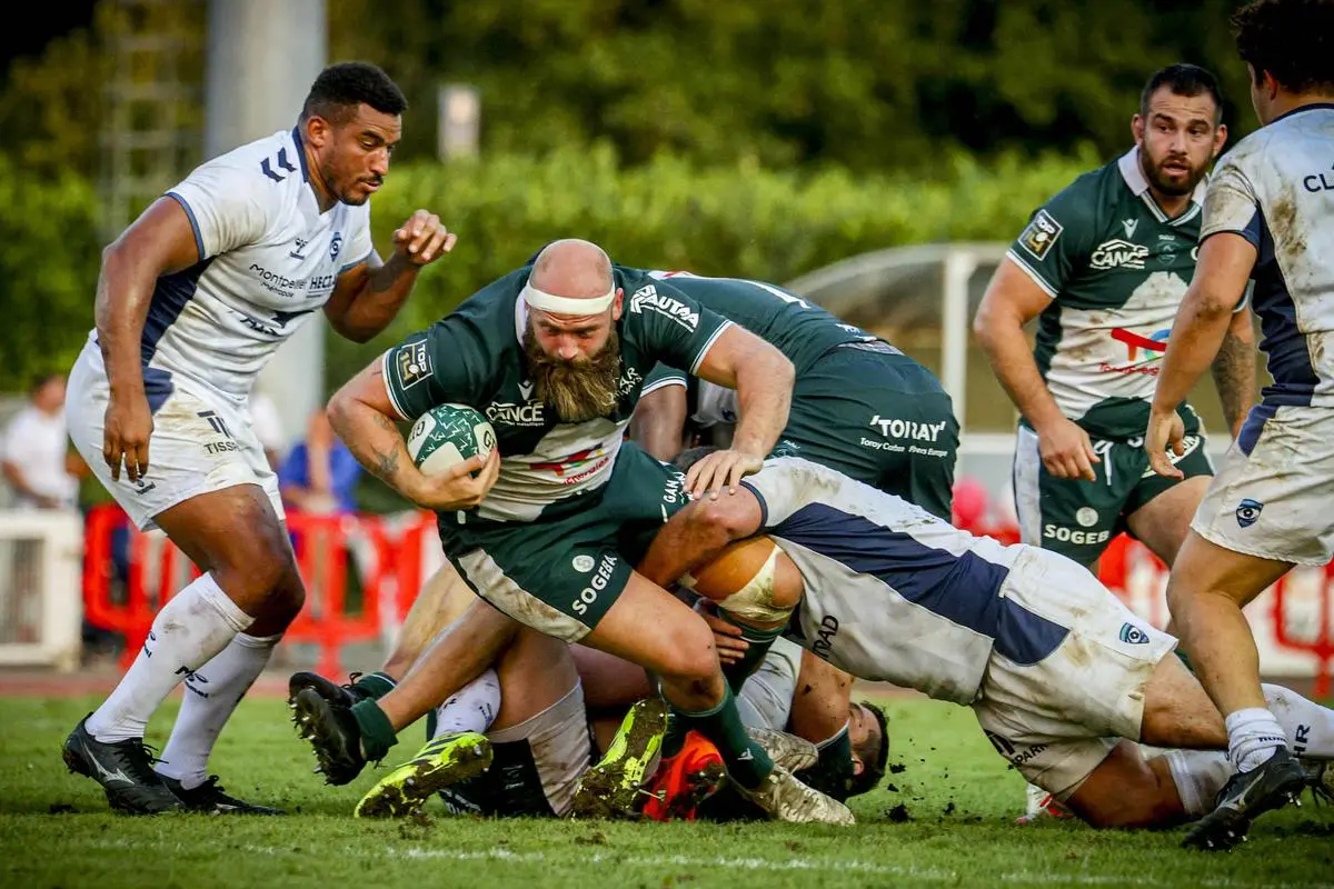 Rugby : la Section Paloise dépassée face à Montpellier pour son premier match amical