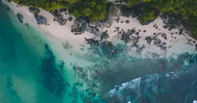 Mayotte, Mamoudzou, lagoon, beach, coral, mangrove, ylang-ylang, island, Creole, nature