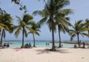 Sainte-Anne : une quinquagénaire perd deux orteils après une morsure de poisson sur la plage du Bourg