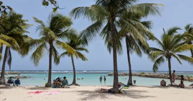 Sainte-Anne : une quinquagénaire perd deux orteils après une morsure de poisson sur la plage du Bourg