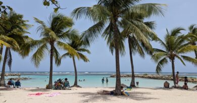 Sainte-Anne : une quinquagénaire perd deux orteils après une morsure de poisson sur la plage du Bourg