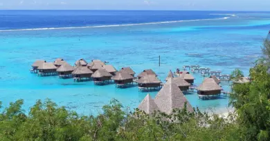 Polynésie française, Tahiti, Bora Bora, lagoon, beach, palm, coral, overwater, island