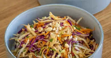 Salade Asiatique Croquante au Poulet