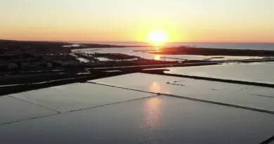 Salin de Gruissan : à la découverte d’une plage déserte