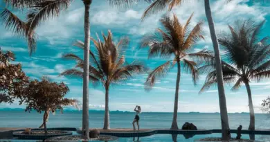 Martinique, Fort-de-France, beach, volcano, palm, rainforest, Creole, boat, island