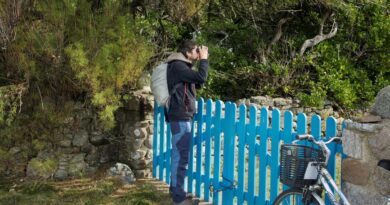 Sciences participatives : «Sans les naturalistes amateurs, nous ne saurions pas qu’une sixième extinction de masse est en cours»