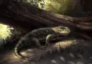 Scientists discover armored “goblin monster” in prehistoric Utah