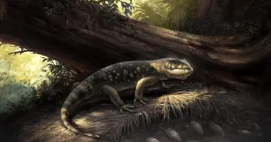 Scientists discover armored “goblin monster” in prehistoric Utah